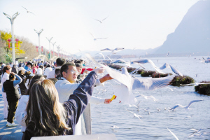 74041768501634964 74041768501634964