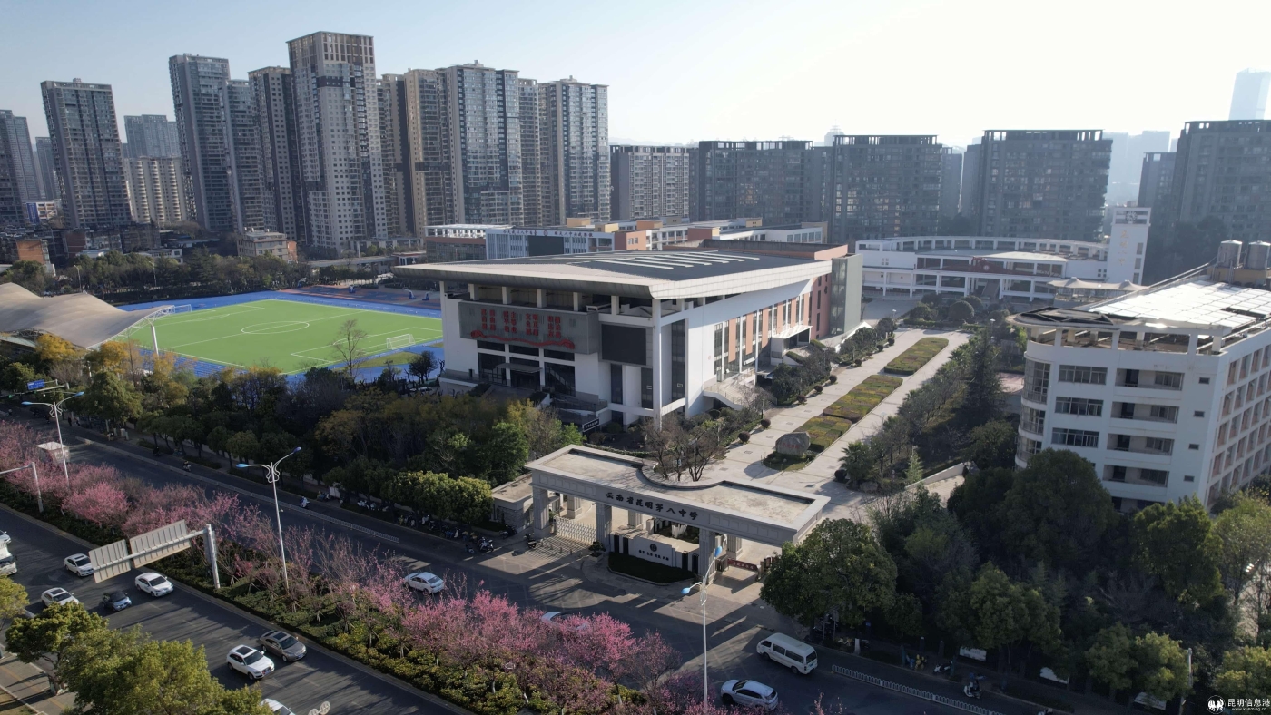 3861769047314_.pic_hd