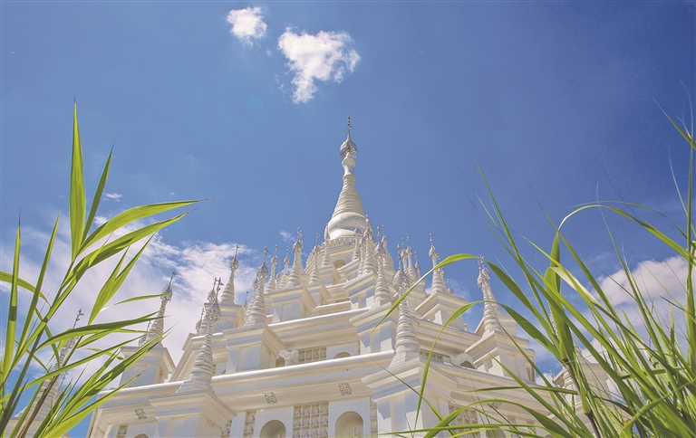 55453_58d78d13-fe74-497f-b5bd-fa9dca2da57b_l