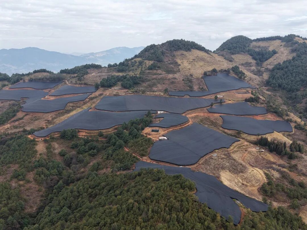 響水村中藥材種植基地1（德黨鎮(zhèn)響水村  2026.1.14）.jpg