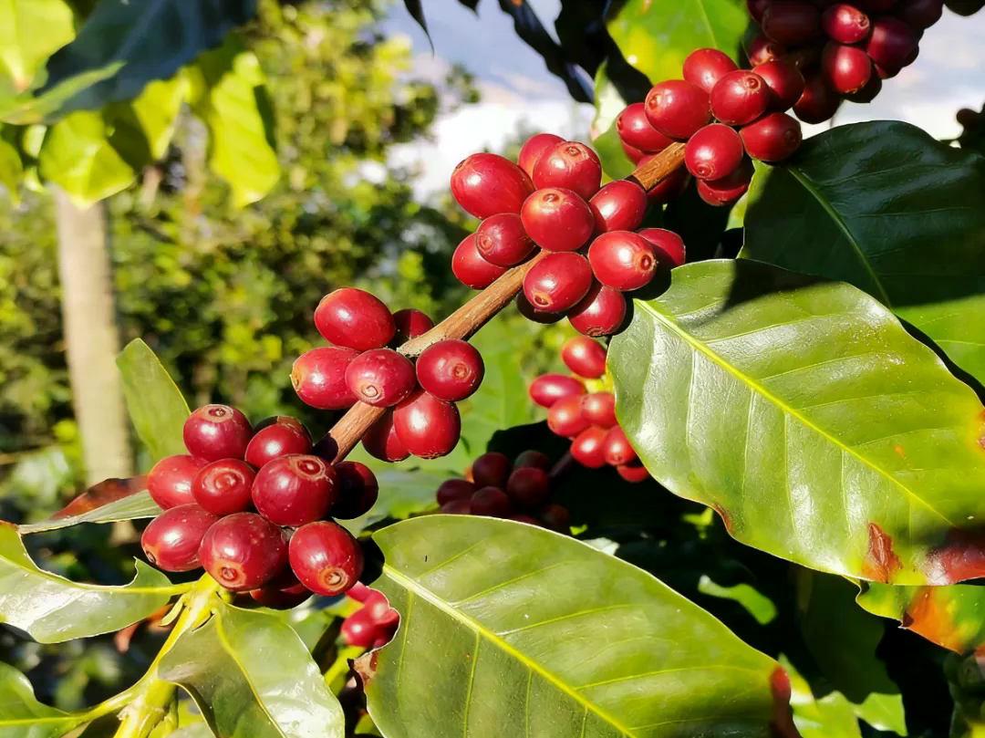 640 (18).webp 640 (18).webp