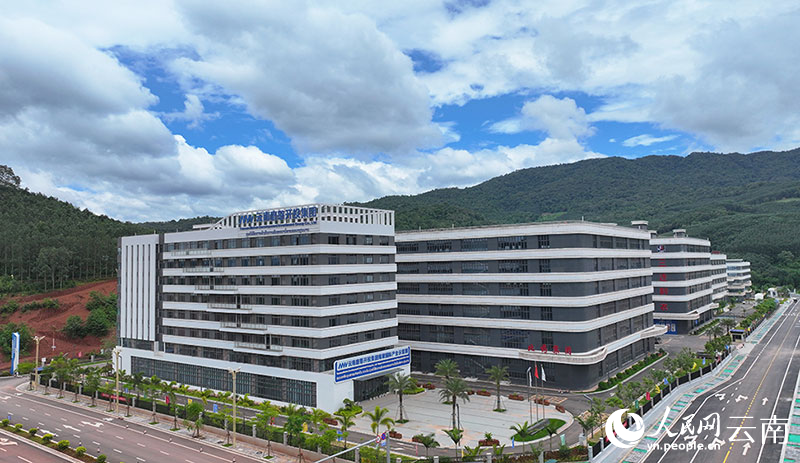 磨憨南坡國際產(chǎn)業(yè)示范園一角。劉加文攝