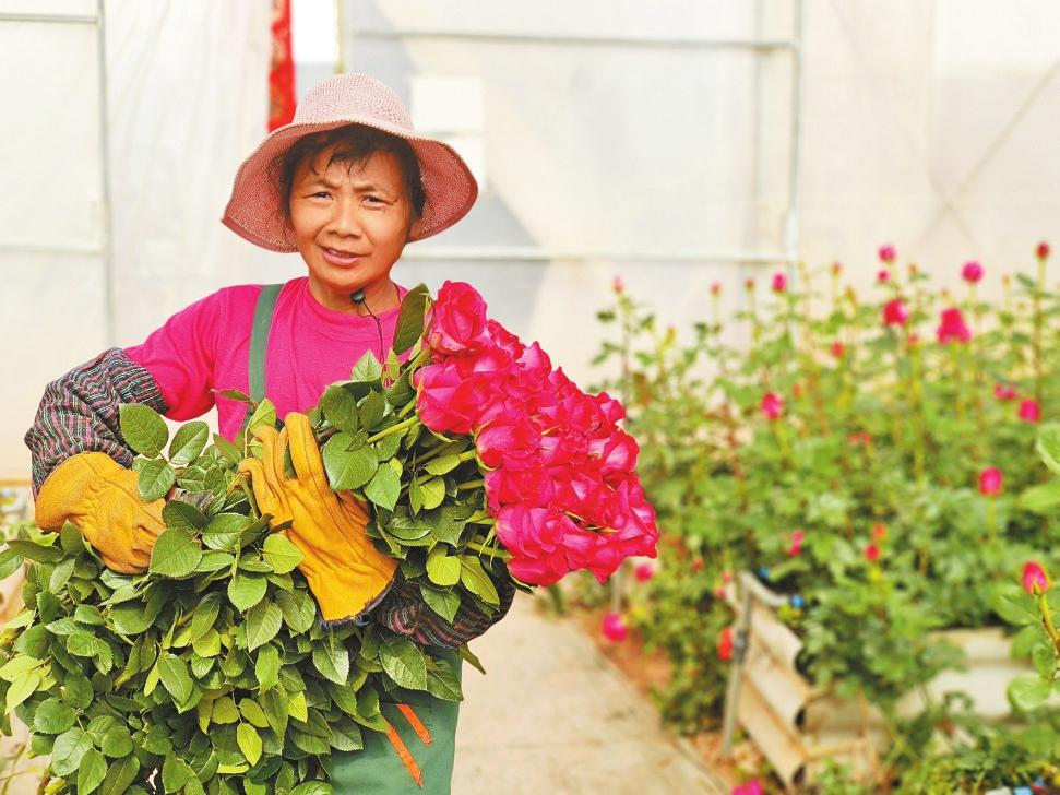 微信圖片_20260210082938_523_251