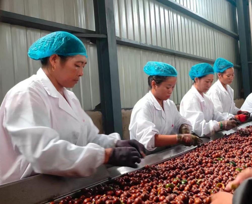 微信圖片_20260210083420_526_251