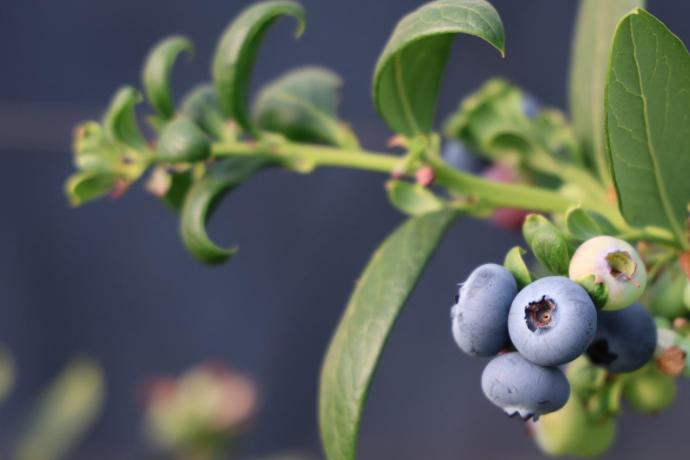 微信圖片_20260212081706_540_251