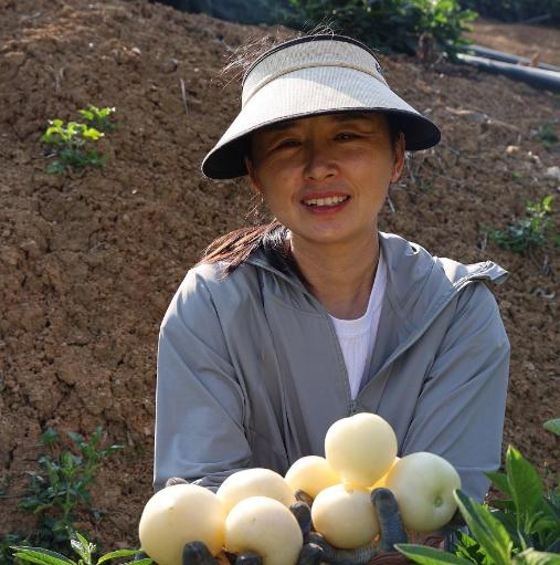 微信圖片_20260212081709_541_251