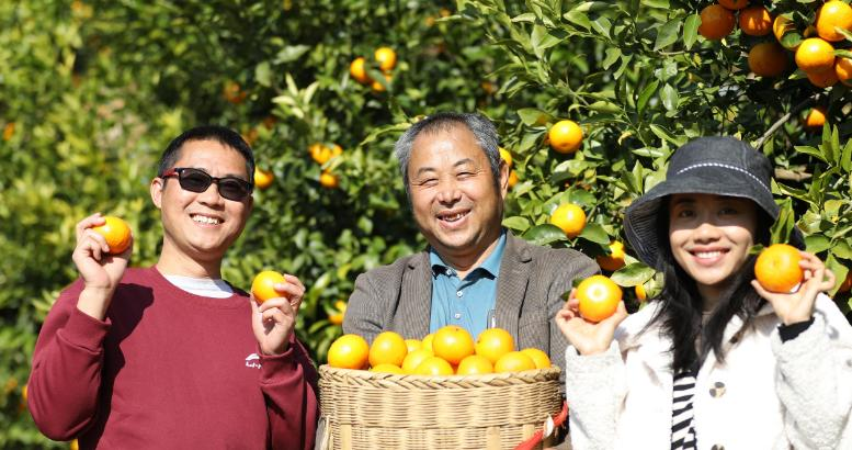 微信圖片_20260212081814_542_251