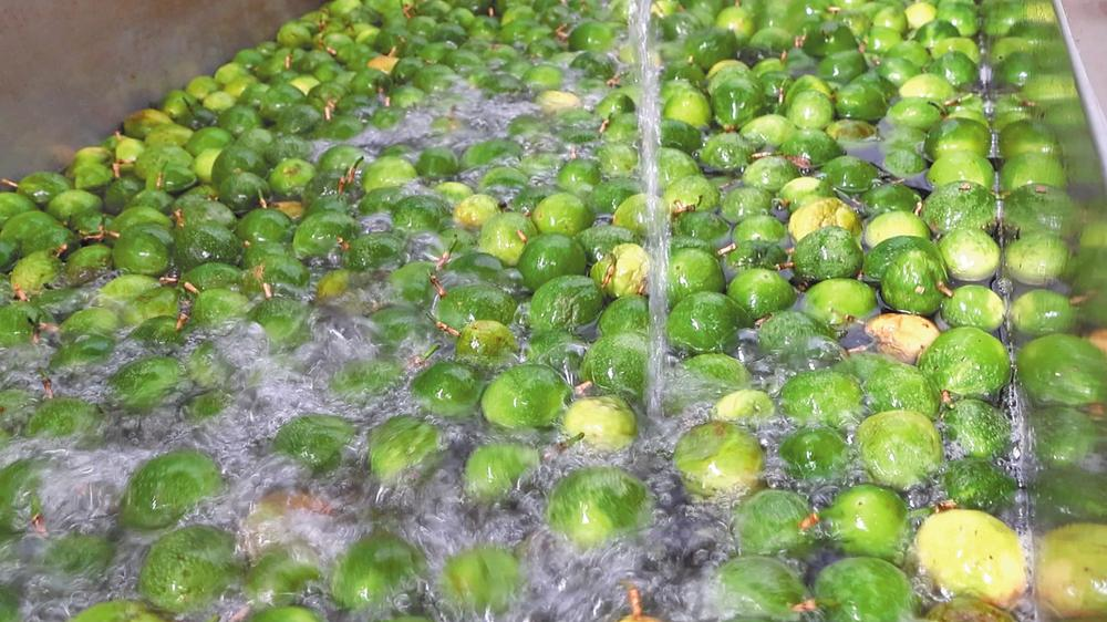 微信圖片_20260212082215_543_251