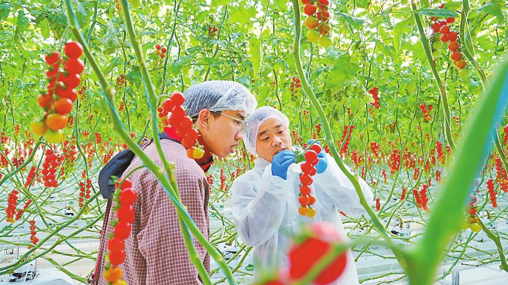 微信圖片_20260213081316_136_158