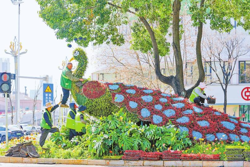 微信圖片_20260214081339_171_158