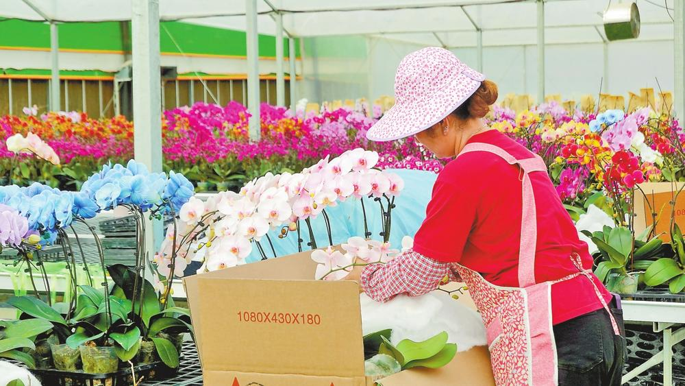 微信圖片_20260214081910_174_158