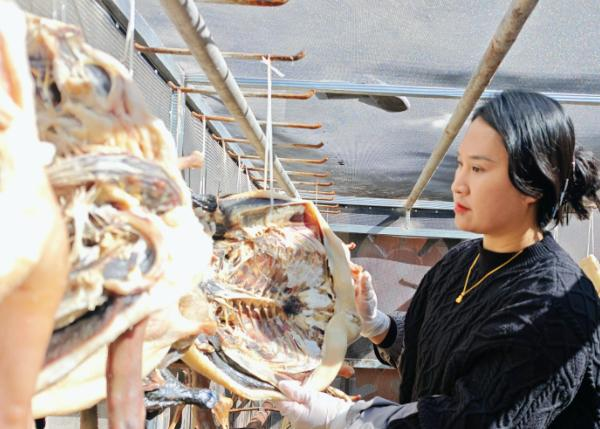 微信圖片_20260216090159_578_251