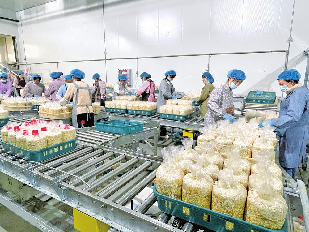 微信圖片_20260217101306_30_42