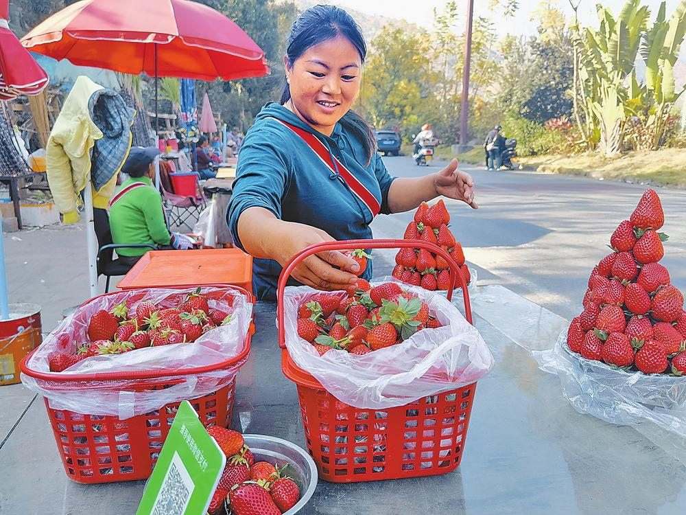 微信圖片_20260218085204_45_42 微信圖片_20260218085204_45_42