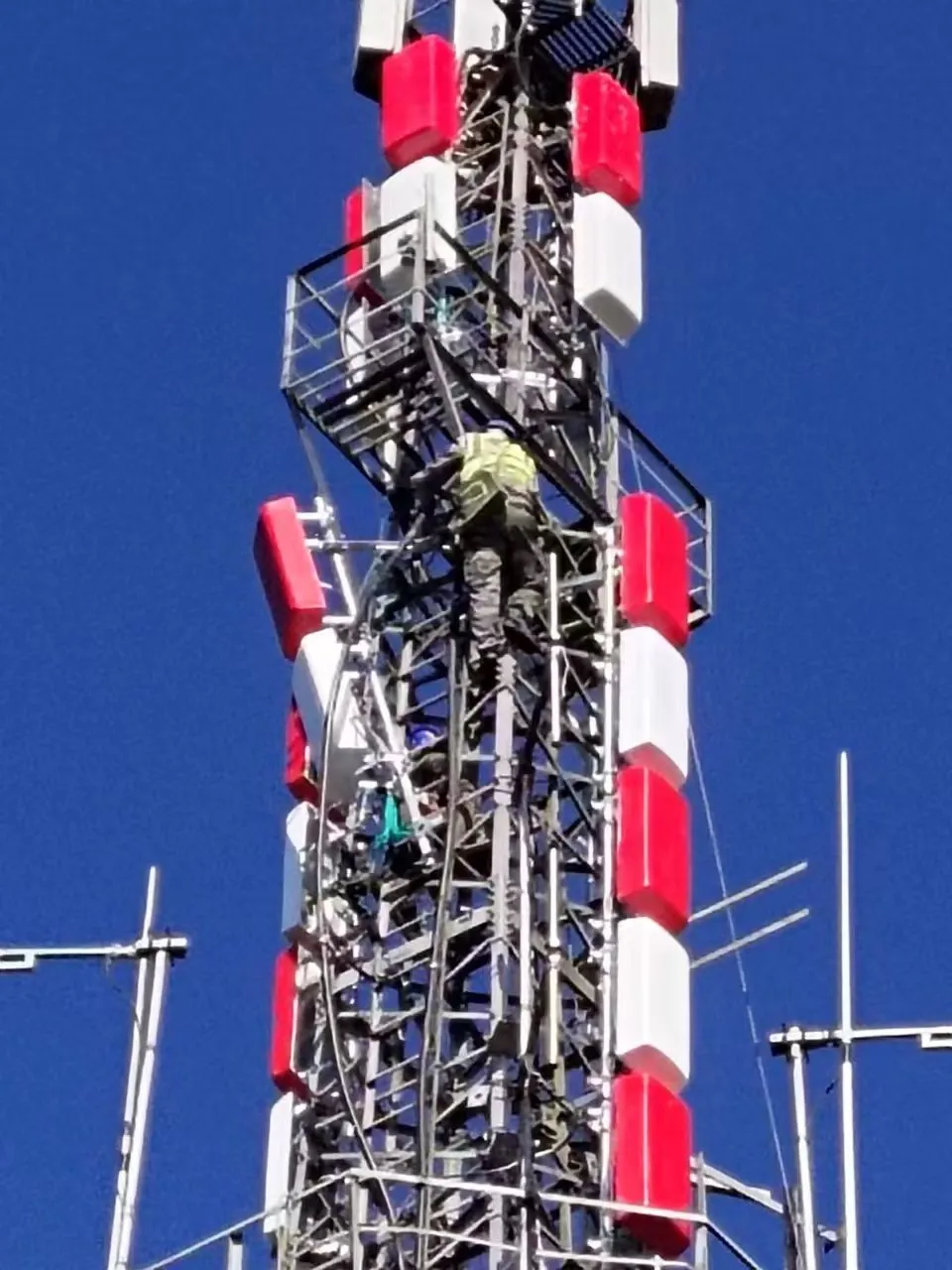 微信圖片_20260218113956_50_42