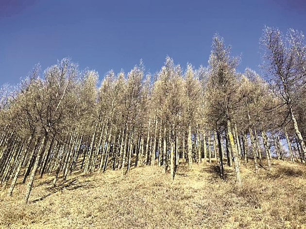 【新春走基層·走進西海固】那塊原本貧瘠的土地，“肥沃”起來了