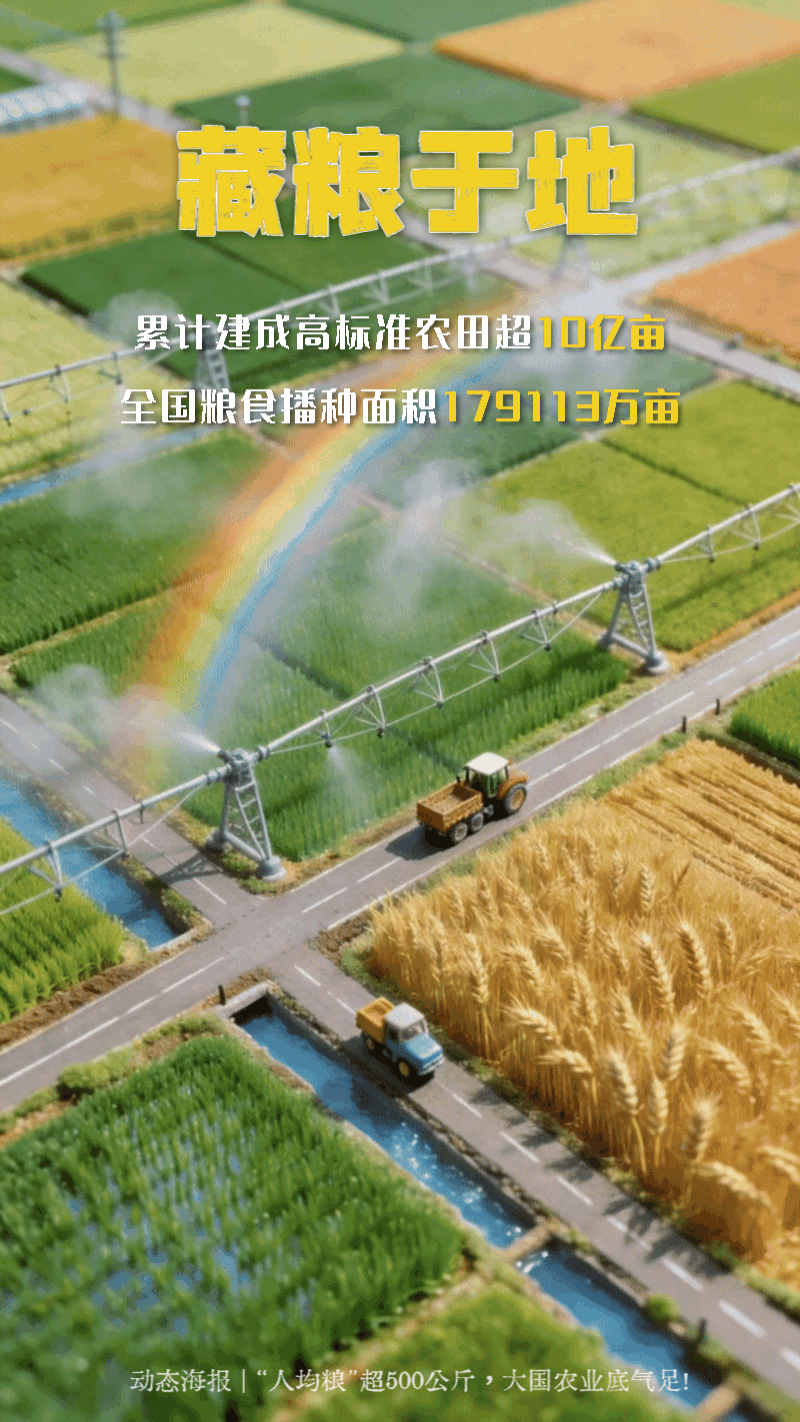 動態(tài)海報 | “人均糧”超500公斤，大國農(nóng)業(yè)底氣足！