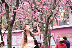 在花海中留個影 在花海中留個影