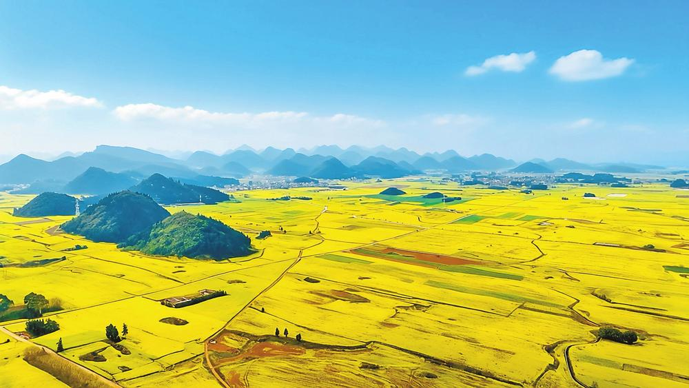 微信圖片_20260310081850_317_158 微信圖片_20260310081850_317_158