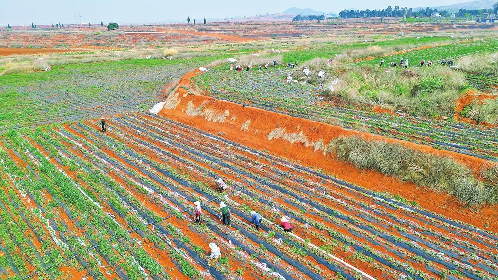 微信圖片_20260310082436_318_158