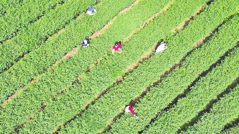 微信圖片_20260312083401_350_158