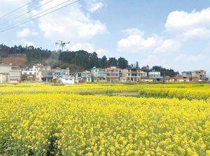 83271773765417331 83271773765417331