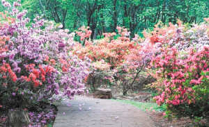 121773859903399 121773859903399