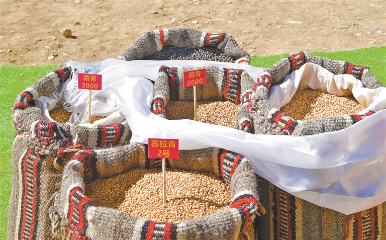 W020260319324869043643 W020260319324869043643