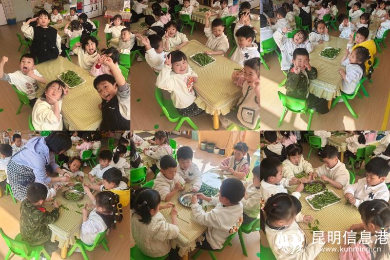 42cb3946f120c4dedcce443909cdf234