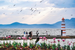 滇池沿岸游人漫步。 新華社