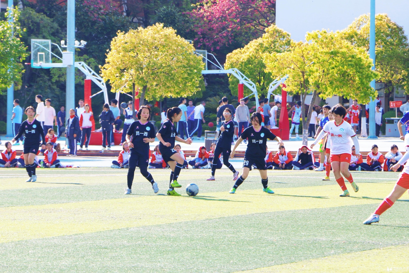 13.女足比賽現(xiàn)場 (2) 13.女足比賽現(xiàn)場 (2)