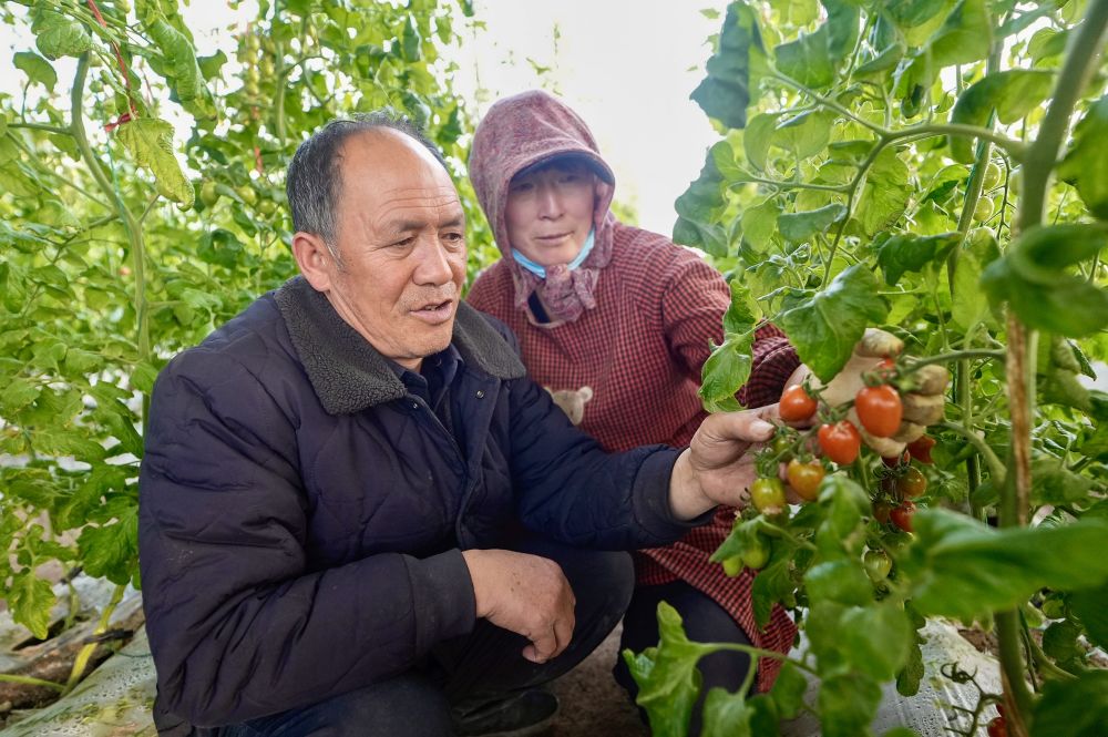 0cca1fb6ee5b401196d5d6e84894a3fb