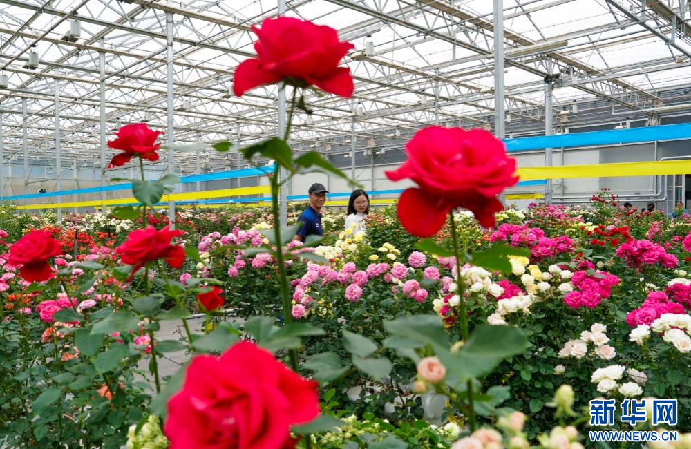 aab8fd08521c4eba8c3e09e9698a83d7