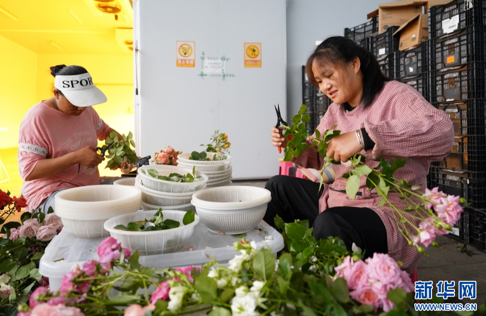 f15aab6db72a4e8ca3200dd7e4043ce5