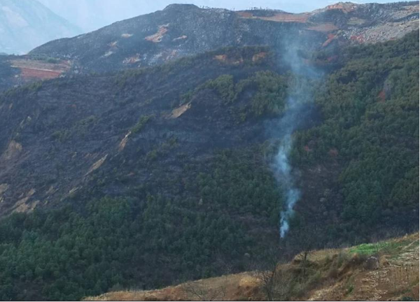 東川區(qū)大火已撲滅 東川區(qū)大火已撲滅