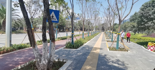 mmexport1598967730652_副本 mmexport1598967730652_副本