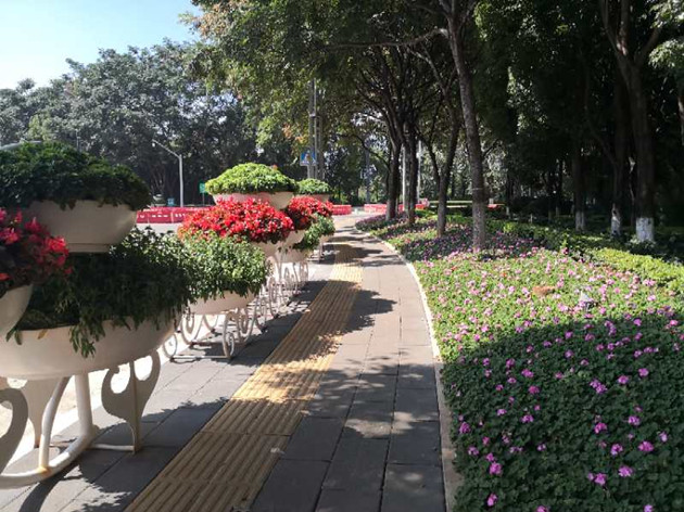 mmexport1598967764042_副本 mmexport1598967764042_副本