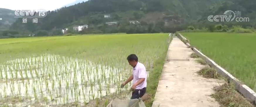 2022062513241920276 2022062513241920276