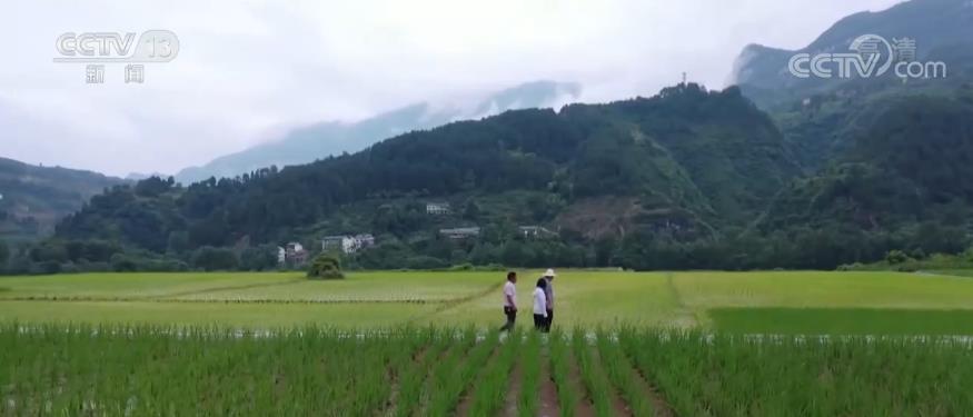 2022062513242553476 2022062513242553476