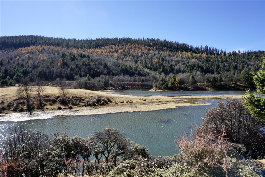 655478d4a310824ea31d6abc 655478d4a310824ea31d6abc