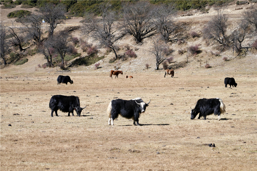 655478d4a310824ea31d6abf 655478d4a310824ea31d6abf