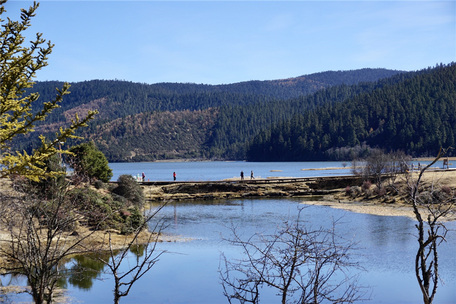 655478d4a310824ea31d6ac2 655478d4a310824ea31d6ac2