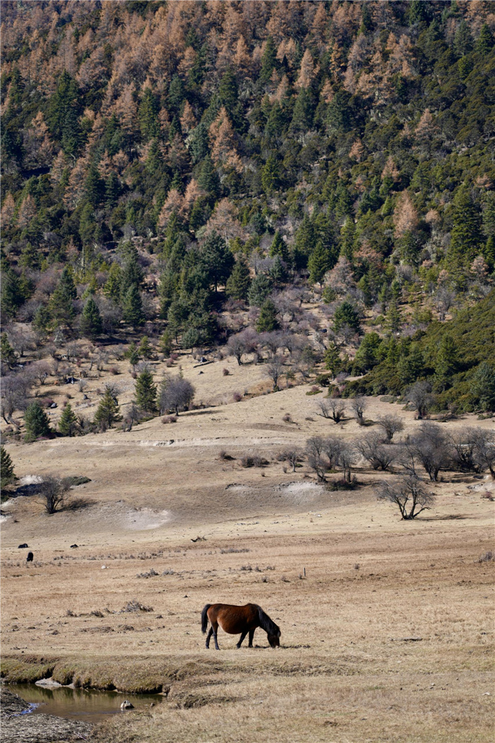 655478d4a310824ea31d6ac7 655478d4a310824ea31d6ac7