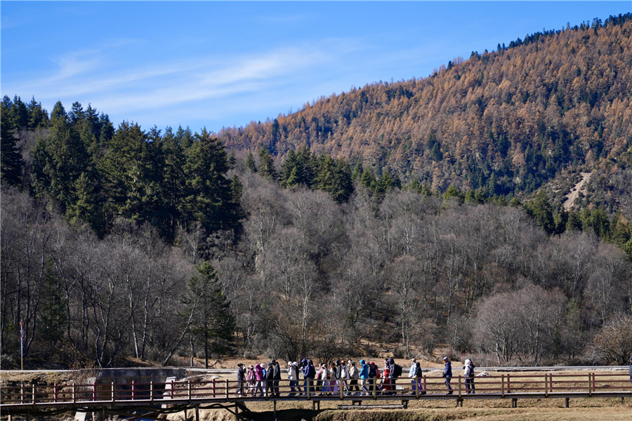 655478d4a310824ea31d6acb 655478d4a310824ea31d6acb