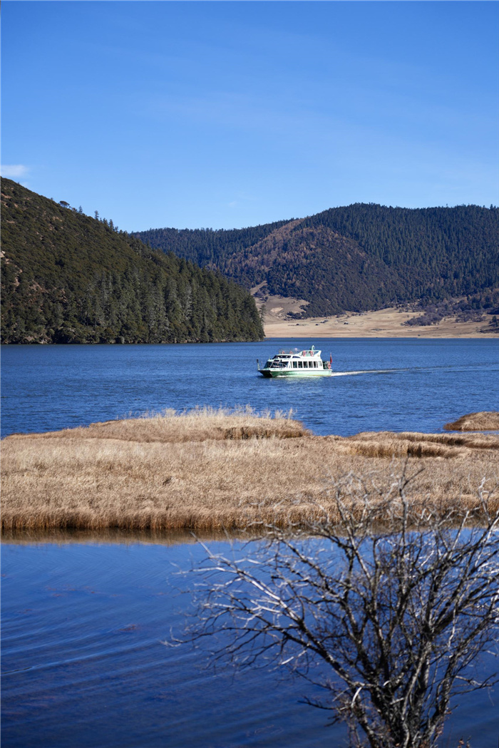 655478d4a310824ea31d6ace 655478d4a310824ea31d6ace