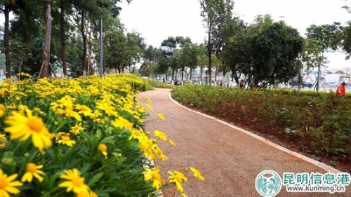 路兩側(cè)游園帶