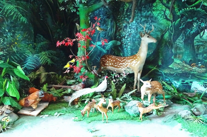 DSC00724_副本 DSC00724_副本