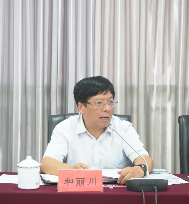 區(qū)委書記和麗川作重要講話