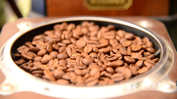 烘焙好的咖啡豆_副本