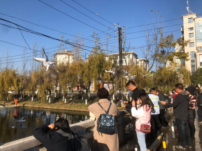 2N{[Y(FNSGRX8[$~8V[(XNF 2N{[Y(FNSGRX8[$~8V[(XNF